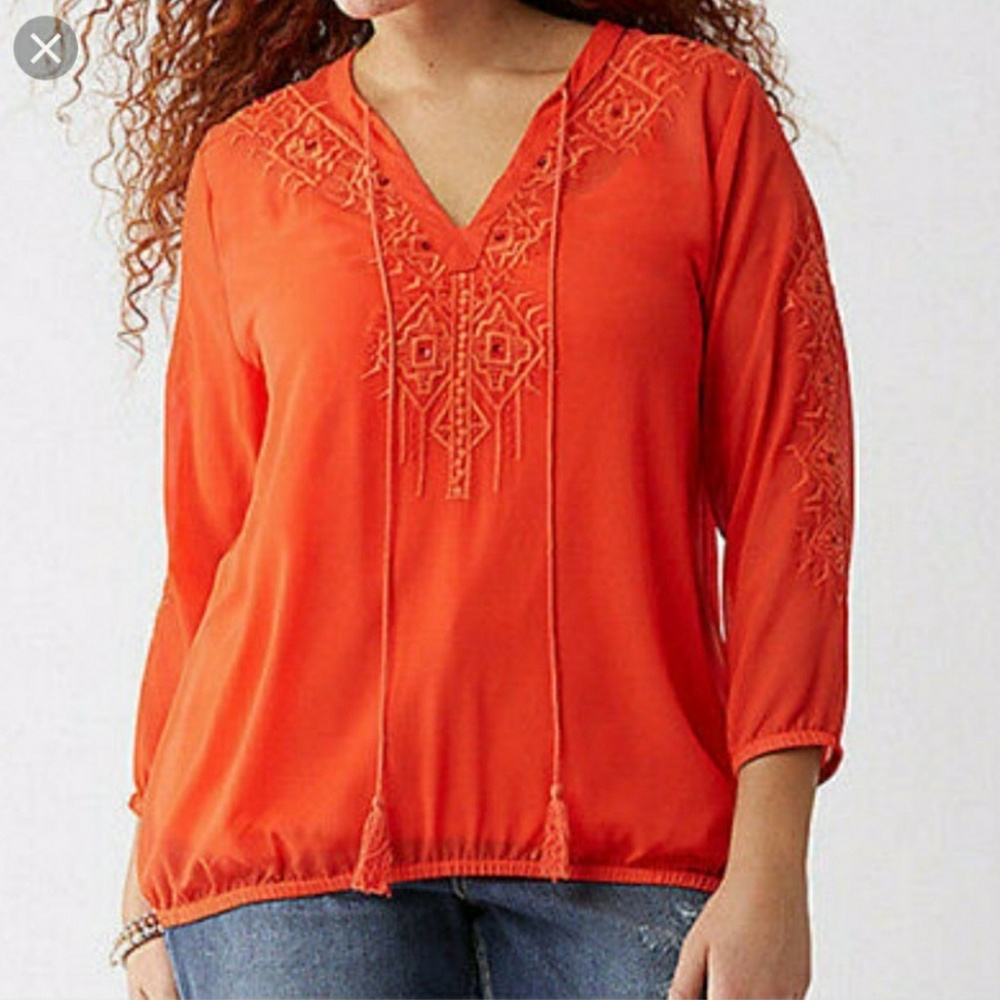 Cover up top by Lane Bryant